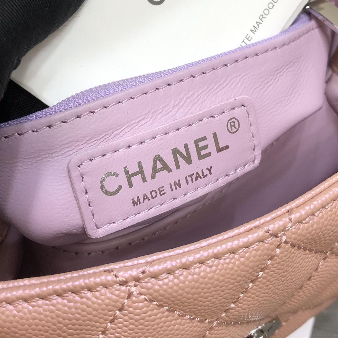 Ch@nel Coco Handlebag-23CM