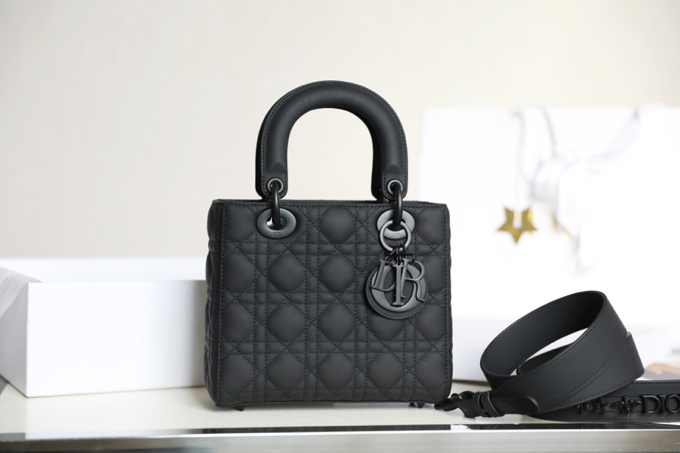 D*or lady bag-20*16.5*8cm