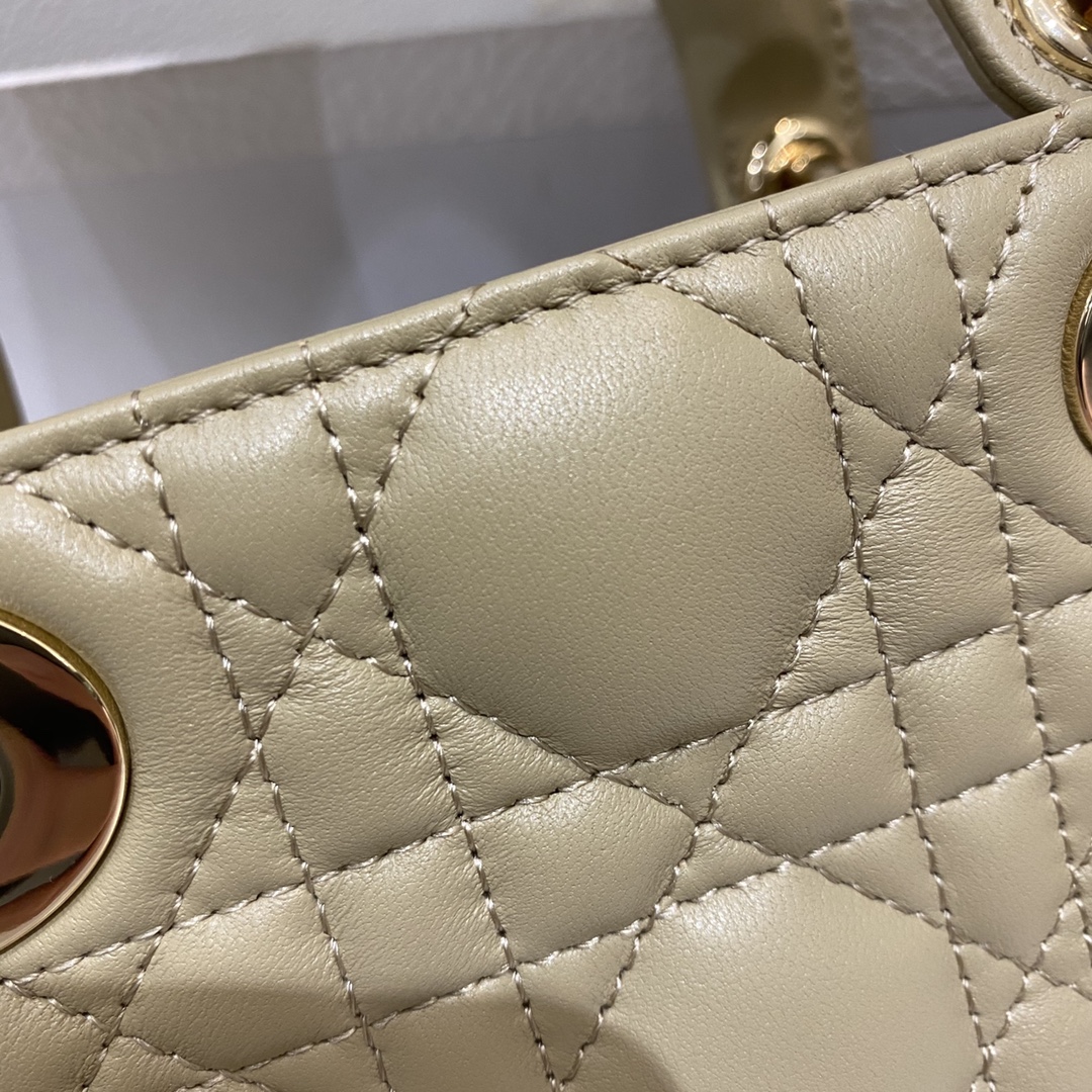 D*or lady bag-26 x 13.5 x 5 cm