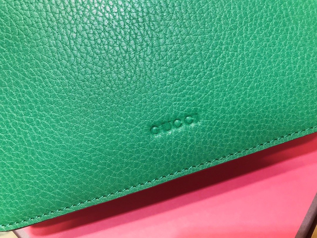 G*u*i dionysus bag-20*14*4cm