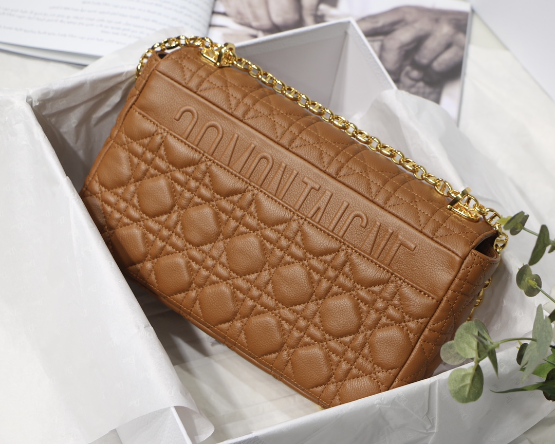 D*or 2021 caro bag-28*17*9cm
