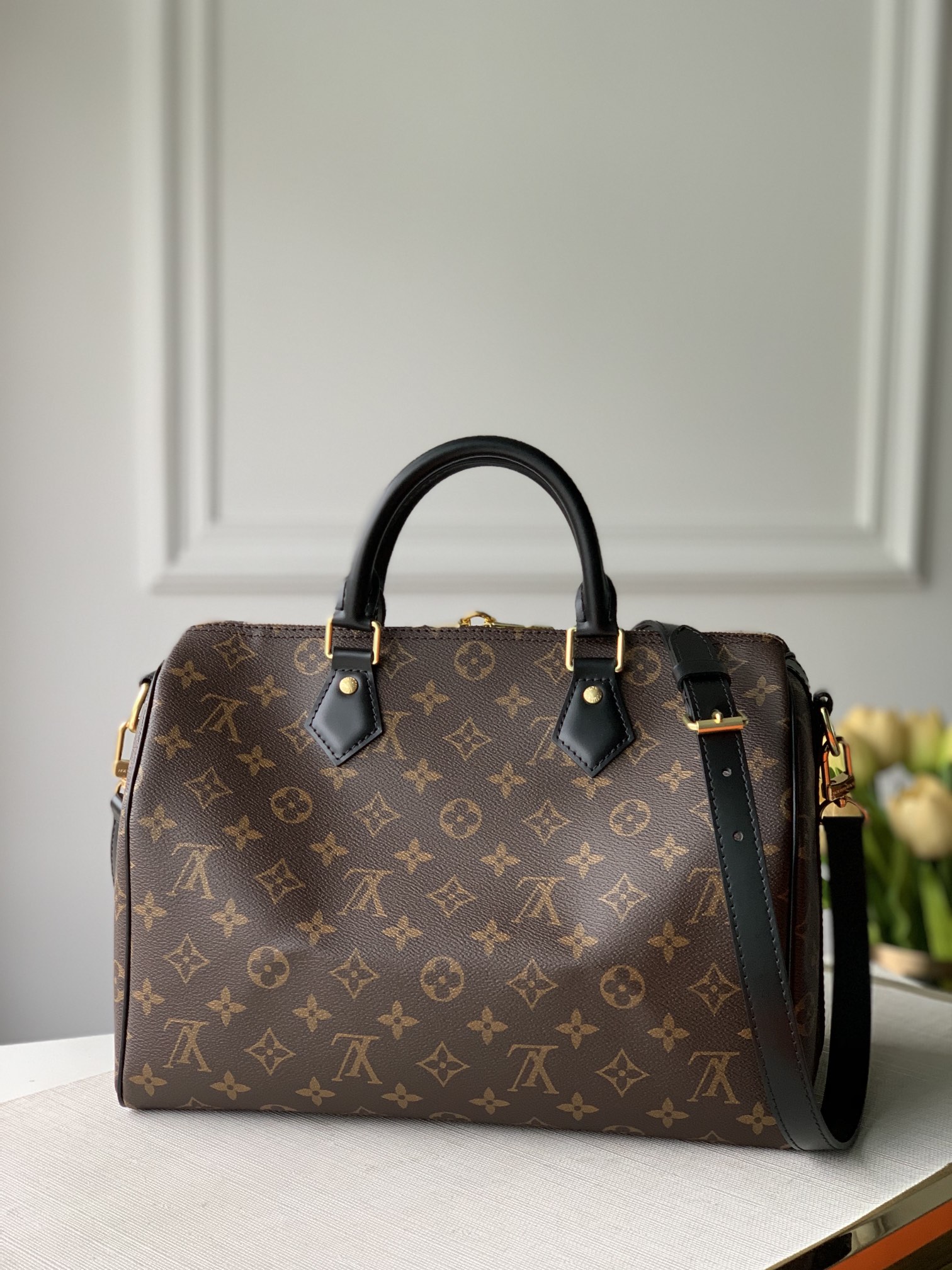 l0*is V*t0n speedy-30x21x17cm