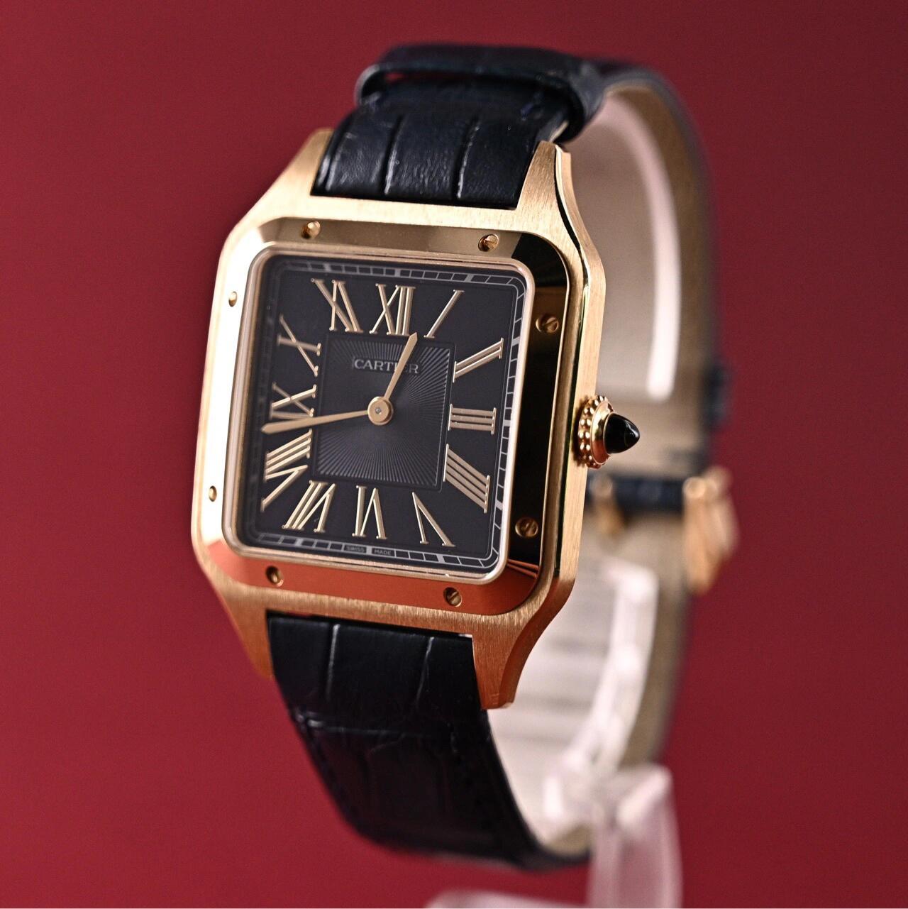 Ca*t*er watch