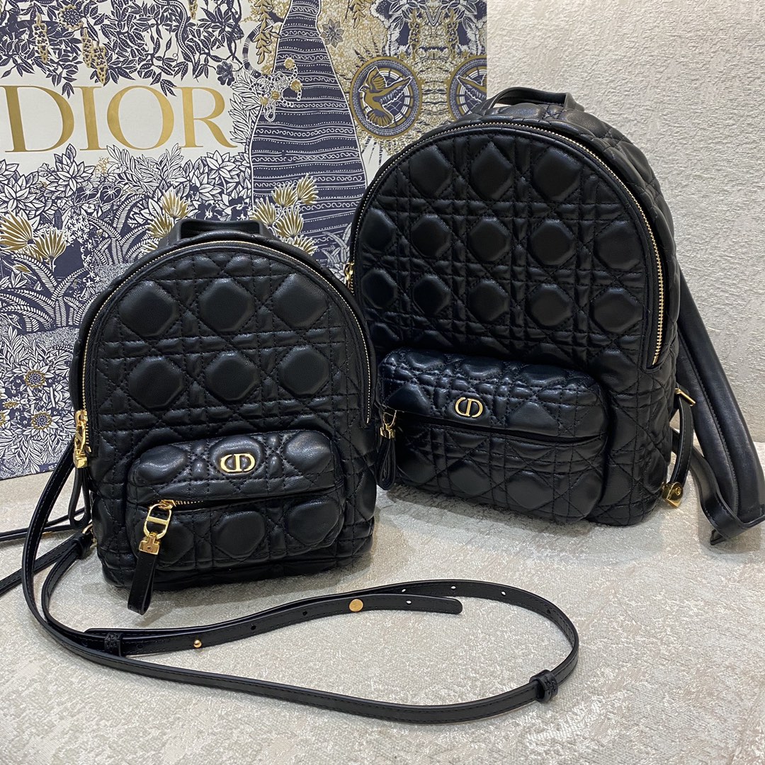 D*or backpack