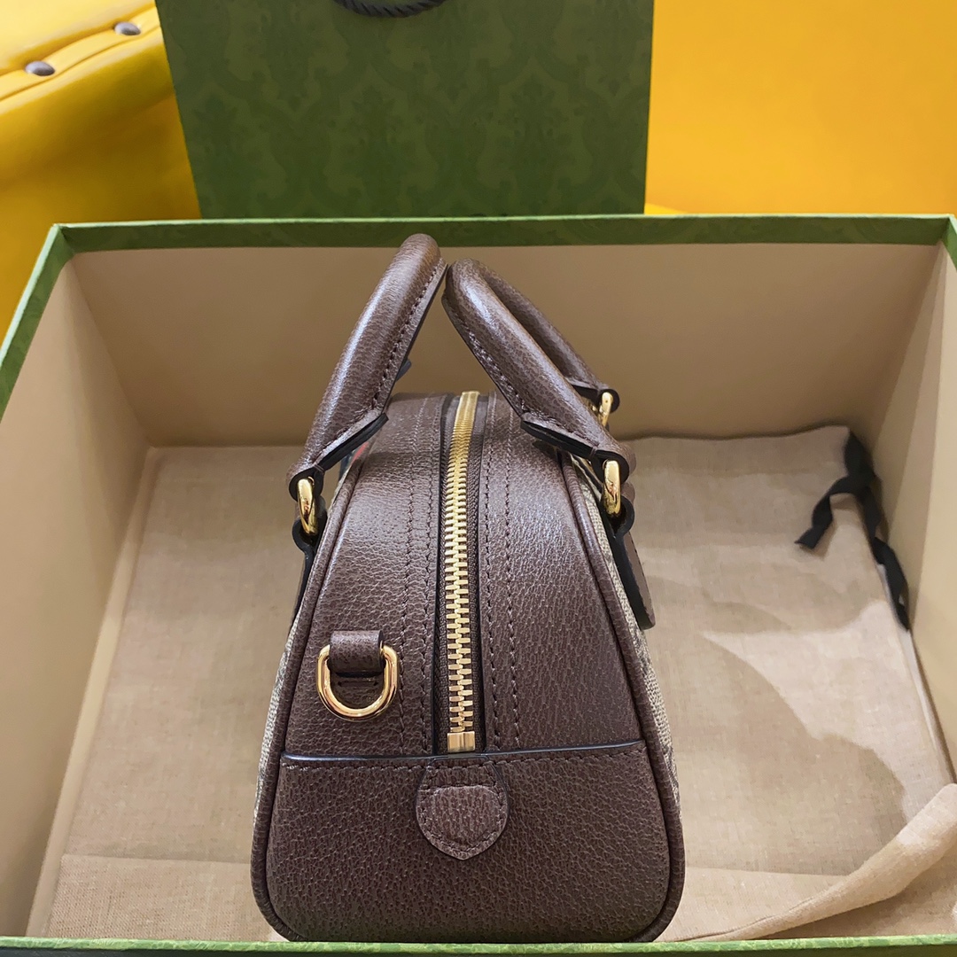 G*u*i ophidia mini handbag-21*12*10cm