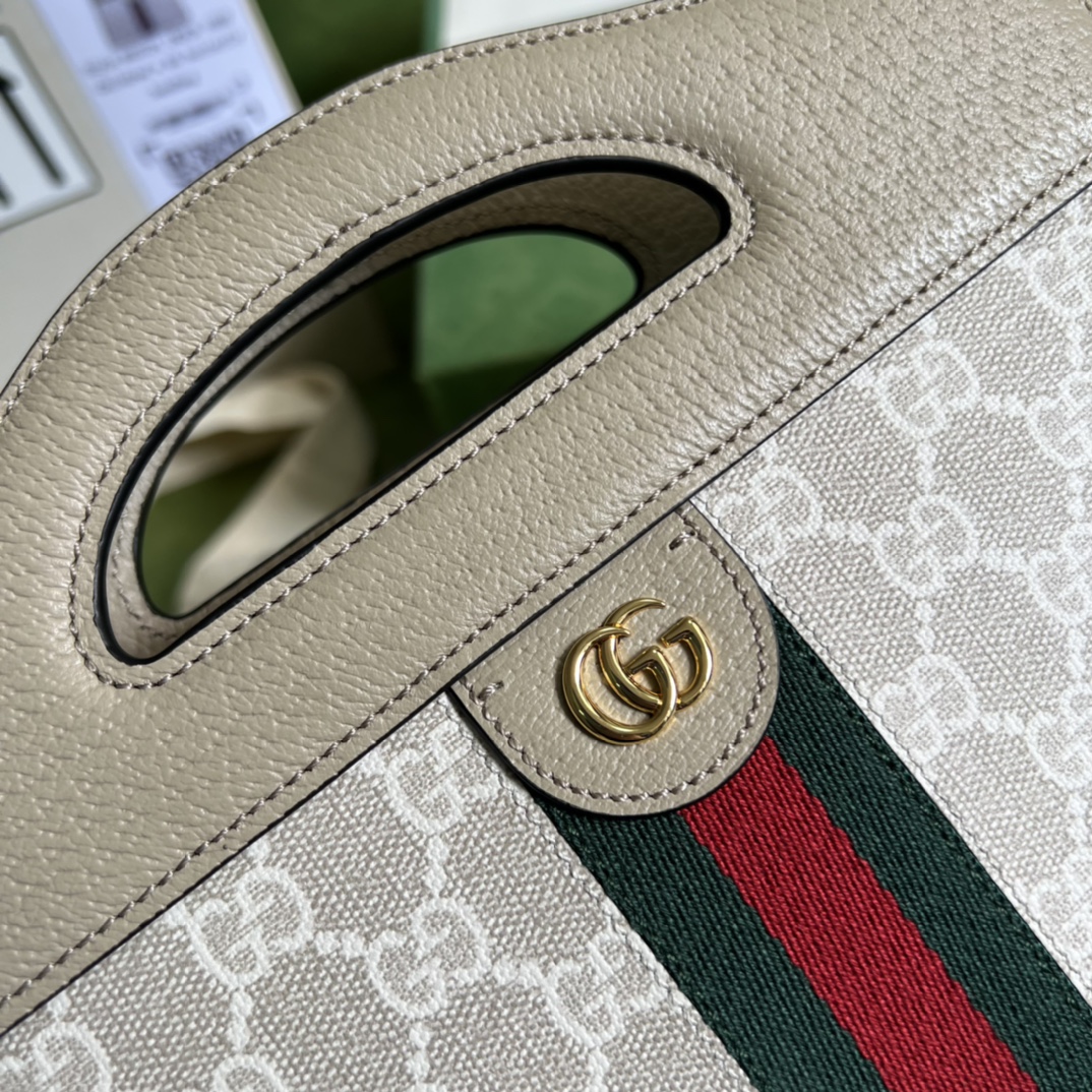 G*u*i ophidia handbags-25.5x 19x 10cm