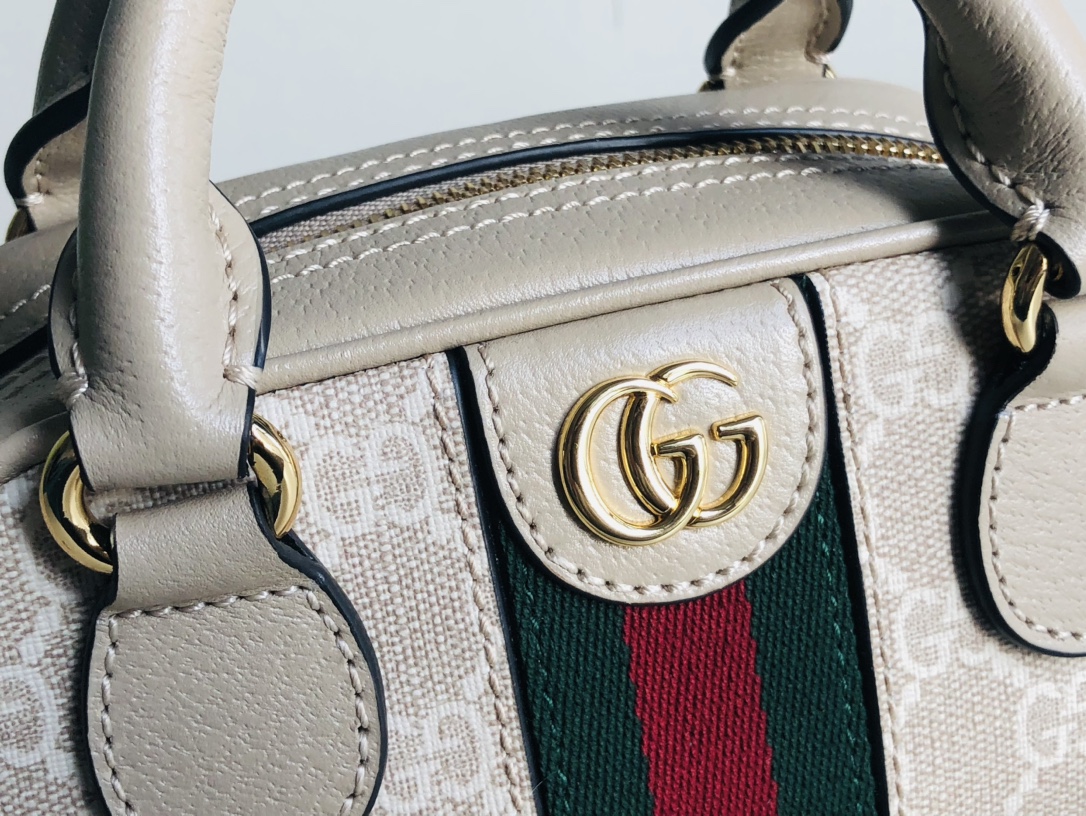 G*u*i ophidia mini handbag-21*12*10cm